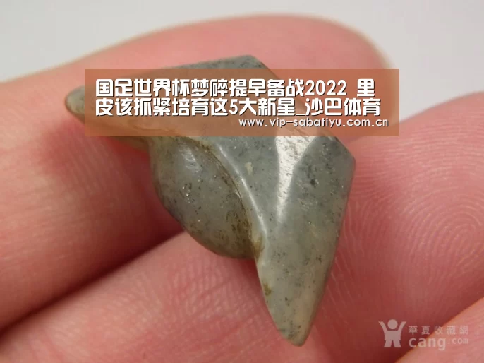国足世界杯梦碎提早备战2022 里皮该抓紧培育这5大新星_沙巴体育平台(图1) 沙巴会员游戏