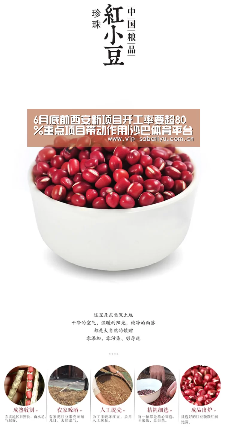 6月底前西安新项目开工率要超80%重点项目带动作用|沙巴体育平台(图2) 沙巴会员游戏