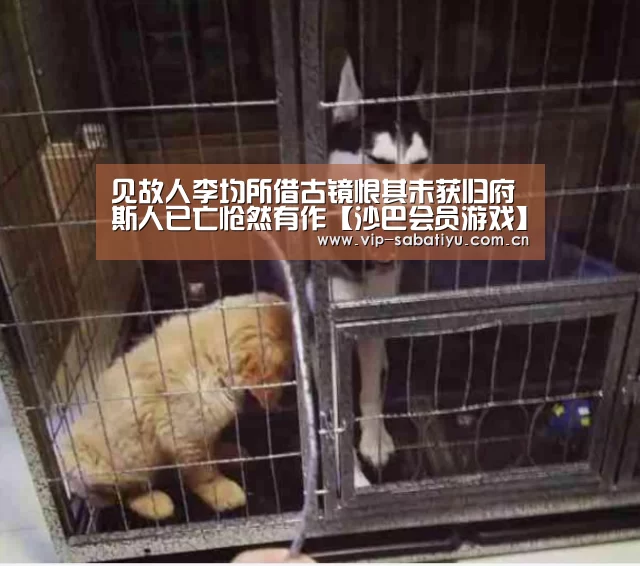 见故人李均所借古镜恨其未获归府斯人已亡怆然有作【沙巴会员游戏】(图4) 沙巴体育官网