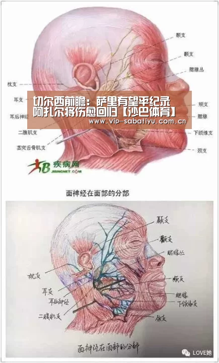 切尔西前瞻:萨里有望平纪录 阿扎尔将伤愈回归【沙巴体育】(图3) 沙巴体育官网