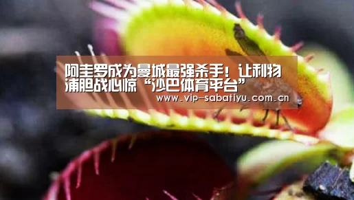 阿圭罗成为曼城最强杀手!让利物浦胆战心惊“沙巴体育平台”(图1) 沙巴体育官网